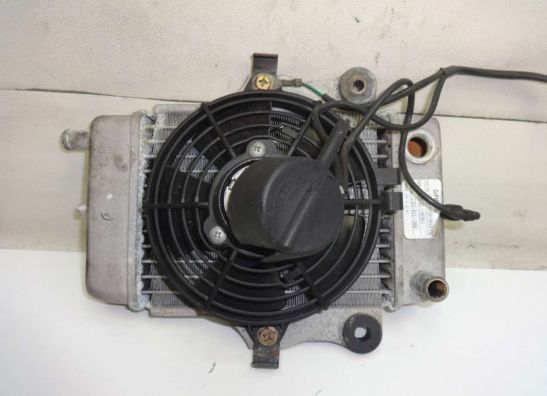 Radiateur Honda Dylan