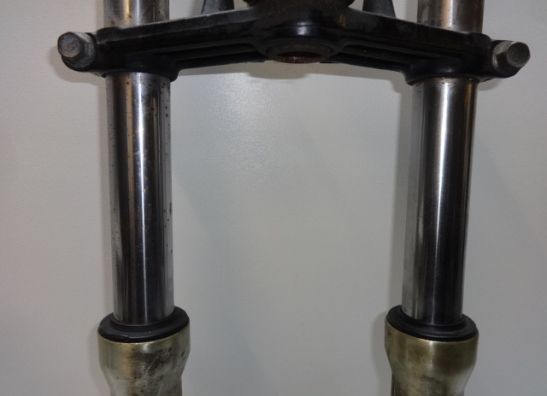 Voorpoten compleet Kawasaki ZZR 250