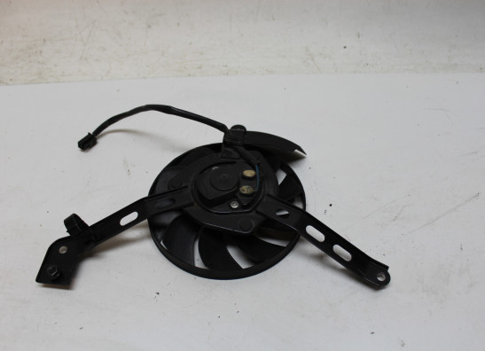 Fan Yamaha XSR 700