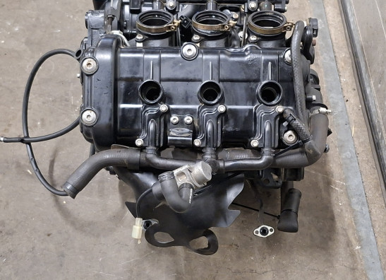 Motorblok Triumph Tiger 1050