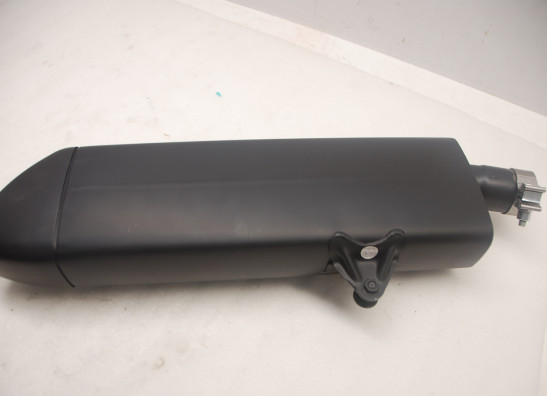 Auspuff Harley Davidson Pan America