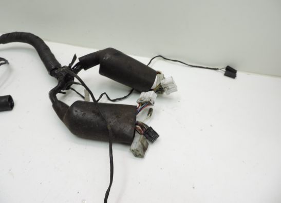 Kabelbaum Triumph Trophy 1200