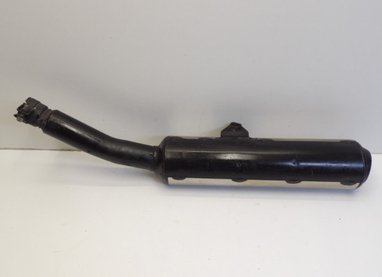 Auspuff Yamaha FZR 600