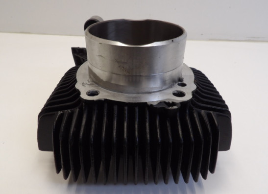 Cilinderblok Ducati Scrambler Desert Sled