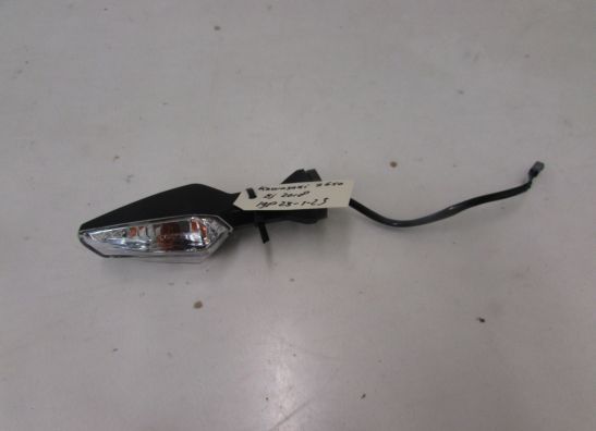 Blinker Kawasaki Z 650