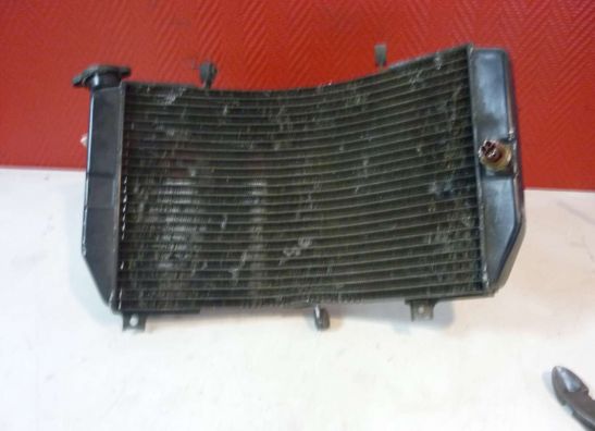 Radiateur Suzuki GSX R 600