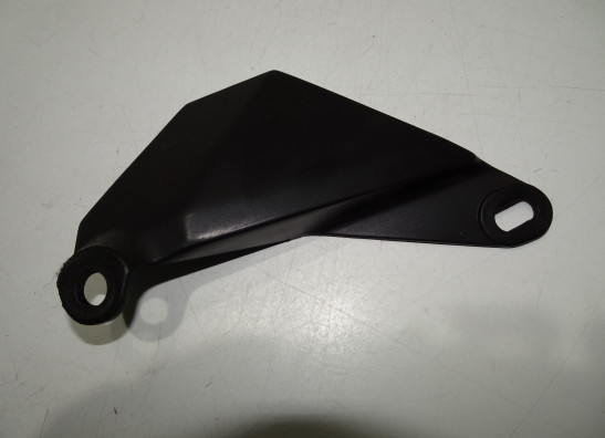 Afdekkap Aprilia Tuono 1000