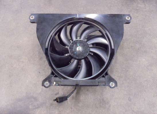 Fan Kawasaki Z 650