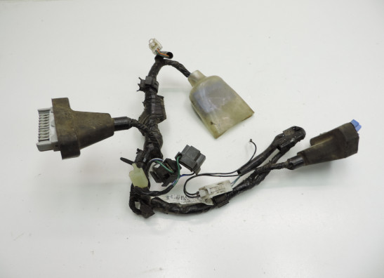 Wire harness front Honda CBR 1100 XX
