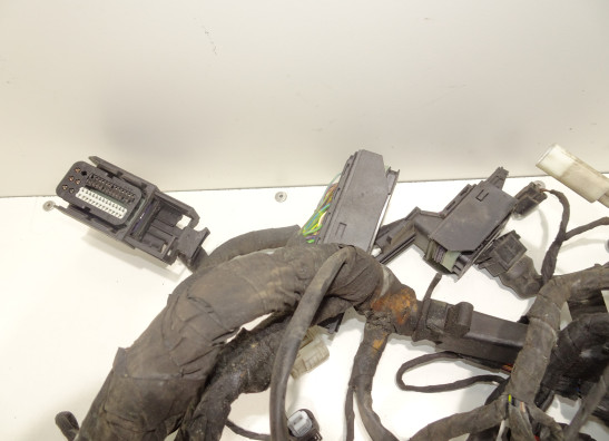 Kabelbaum BMW R 1200 GS