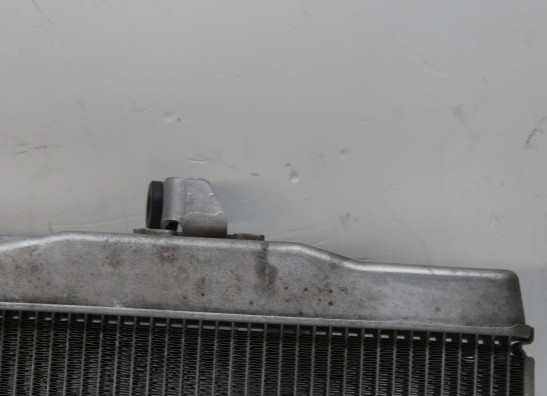 Radiateur Yamaha XSR 700