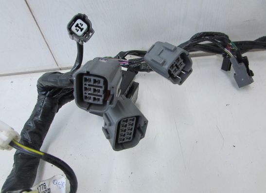 Kabelbaum Kawasaki Z 300