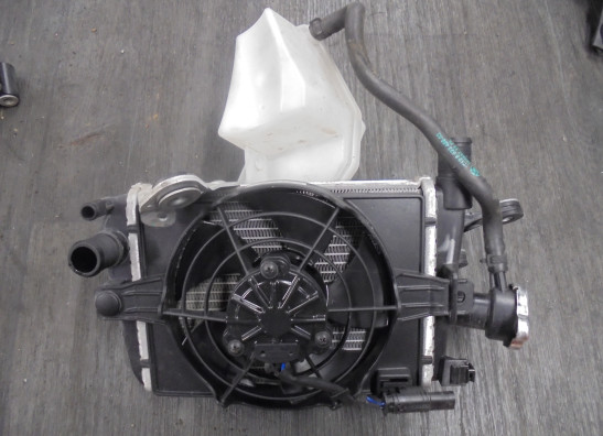 Radiateur BMW R 1250 GS 2018-2020, 2021-2022