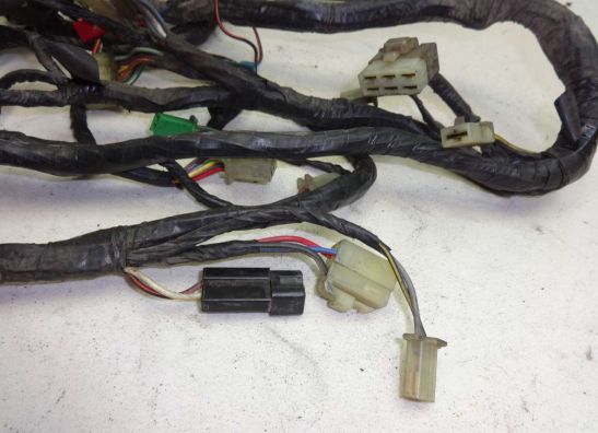 Kabelbaum Kawasaki ZZR 1100