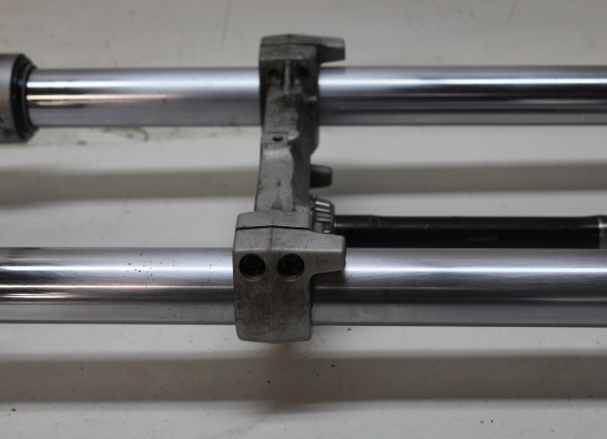 Voorpoten compleet BMW F 800 S - ST