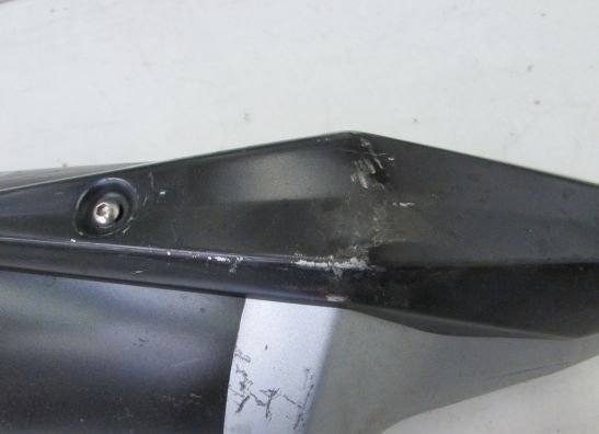 Auspuff Kawasaki Z 750