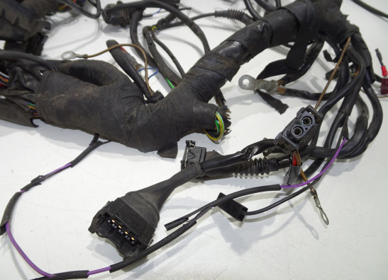 Kabelbaum BMW R 850 R