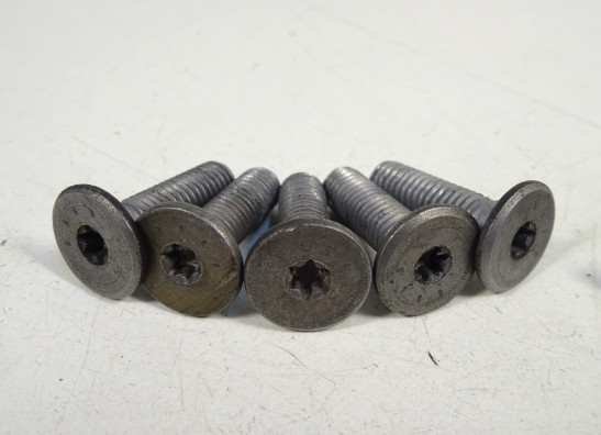 Bremsscheibenset BMW R 1200 R