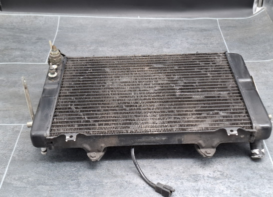 Radiator Yamaha FZR 1000
