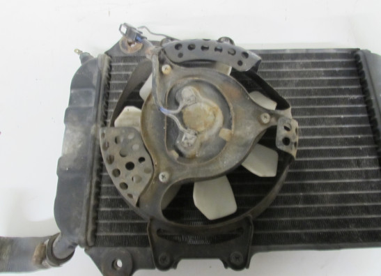 Radiateur Yamaha XV 1100 Virago