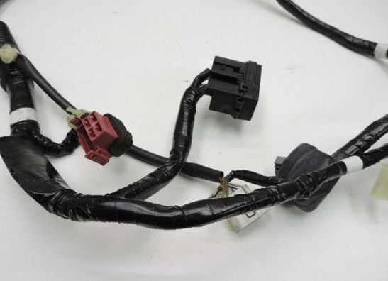 Kabelboom Honda CBR 125 R