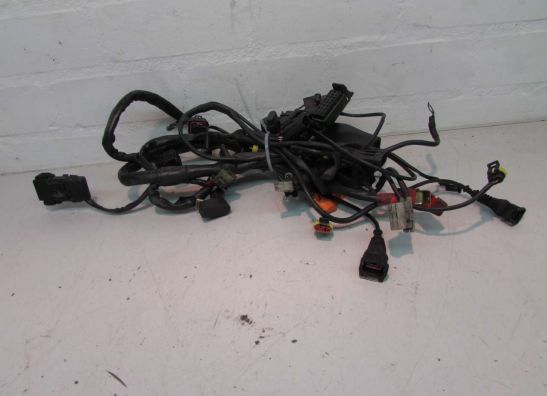 Wire harness front Ducati 750 SS Supersport