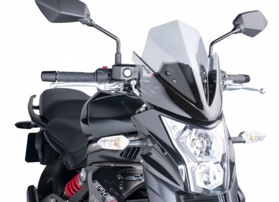 Wind screen Kawasaki ER 6
