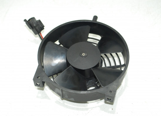Fan Aprilia RSV 1000