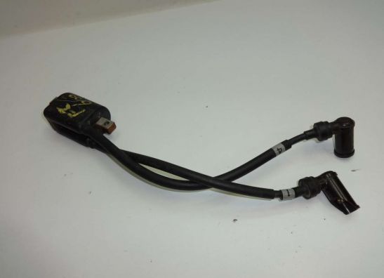 Bobine Yamaha FZ 600