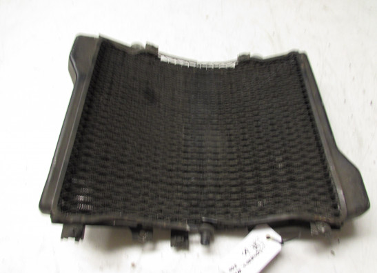 Radiator Kawasaki ZZR 1100