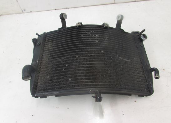 Radiator Yamaha YZF R1
