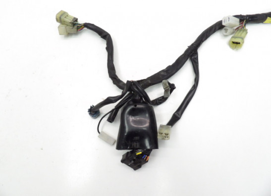 Wire Harness Yamaha FZ6