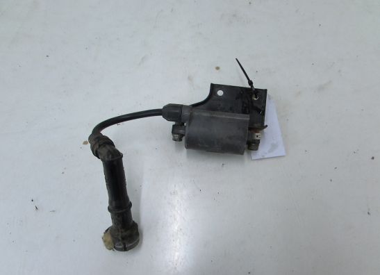 Bobine Kawasaki GPZ 500