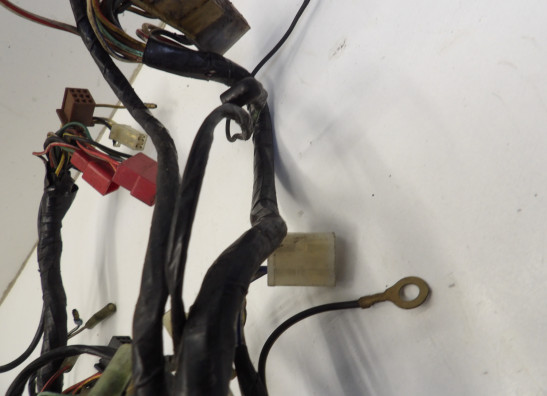 Wire Harness Kawasaki GPZ 900