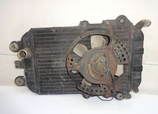 Kuhler Kawasaki VN 700  750