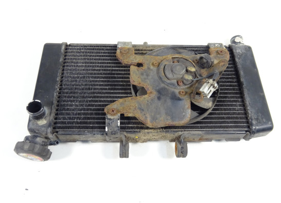 Kuhler Honda NC 700 X