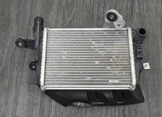 Radiateur BMW R 1200 GS LC Adventure