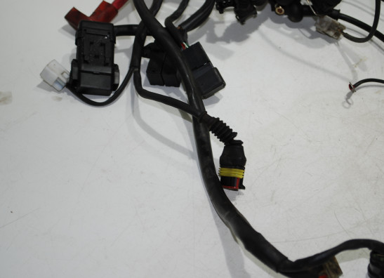 Kabelboom BMW R 1100 RT