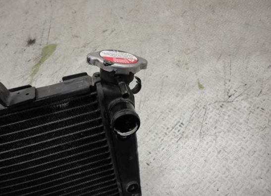 Kuhler Yamaha YZF R1