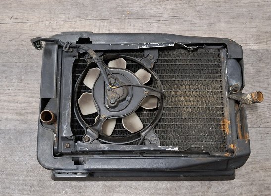 Radiator Kawasaki ZL 900 Eliminator