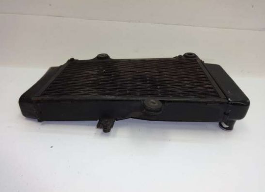 Kuhler Yamaha XTZ Tenere