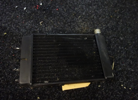 Radiateur Aprilia Falco