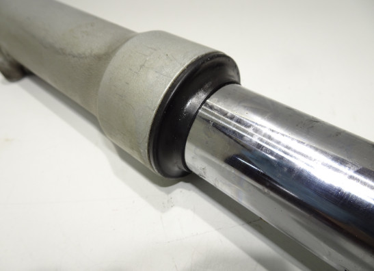 Standrohr Gabelholm links komplett BMW F 650