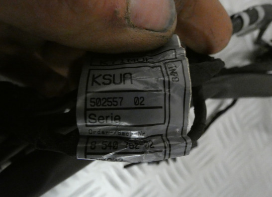 Kabelboom BMW F 800 GT