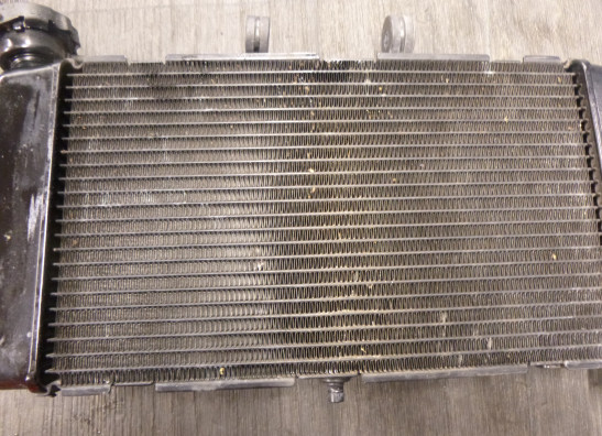 Radiateur Honda NC 750 S