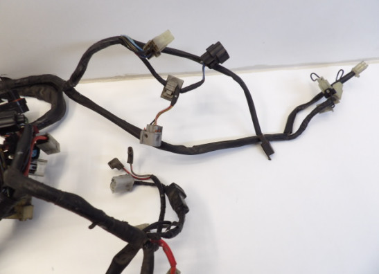 Kabelboom Yamaha FJR 1300