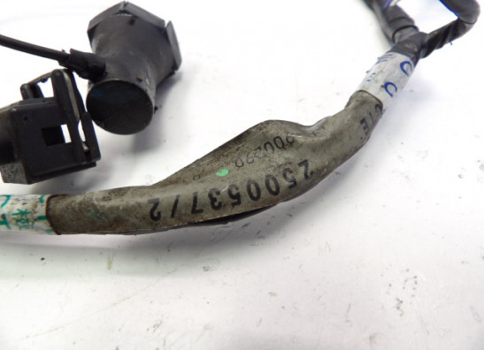 Wire harness front Triumph Sprint RS