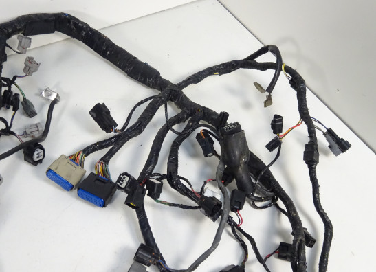 Wire Harness Kawasaki ZX 10 R