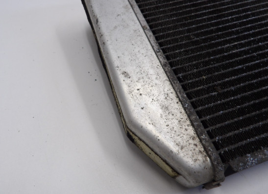 Radiator Kawasaki Z 1000 Sx