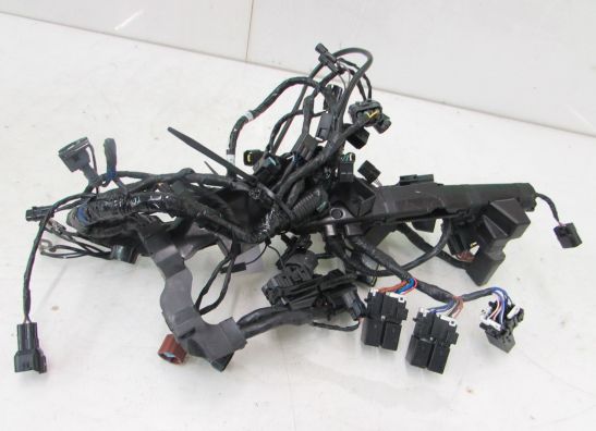 Wire Harness Triumph 675 Street Triple R